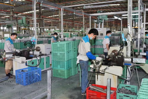 懷文抱質(zhì)，匠心木魂 陽(yáng)江竹木企業(yè)以工業(yè)酶制劑研發(fā)引領(lǐng)粵東西北外貿(mào)出口